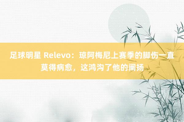 足球明星 Relevo：琼阿梅尼上赛季的脚伤一直莫得病愈，这鸿沟了他的阐扬