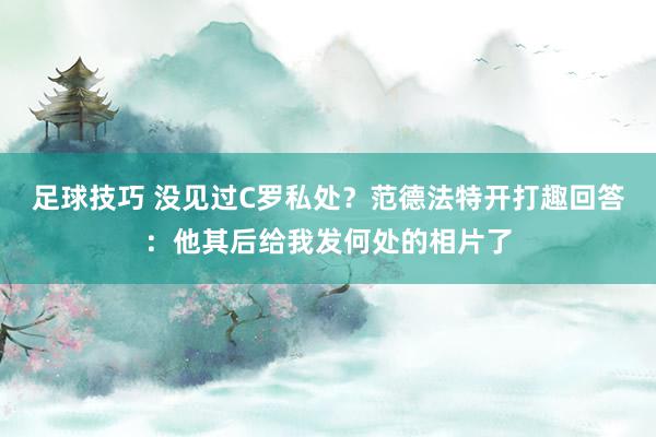 足球技巧 没见过C罗私处？范德法特开打趣回答：他其后给我发何处的相片了